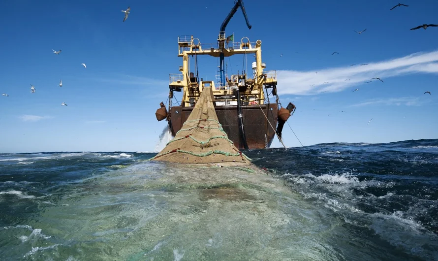 Ακολουθεί η Τουρκία το κινέζικο μοντέλο υπεραλίευσης;