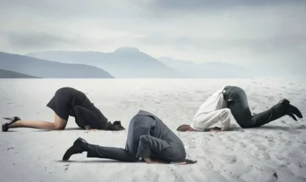 Στρουθοκάμηλοι