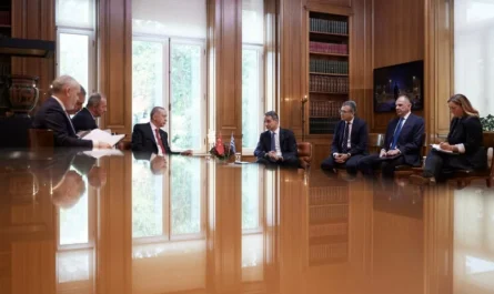 Μητσοτάκης Ερτογάν