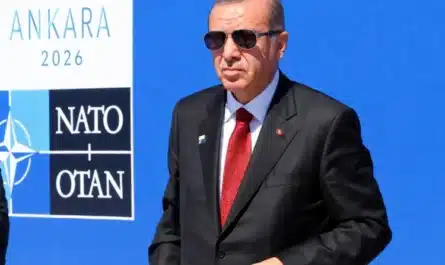 Η σύνοδος κορυφής του ΝΑΤΟ μετατρέπεται σε επίδειξη ισχύος του Ερντογάν