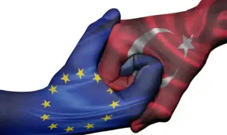 Συμπτώματα Παρακμή