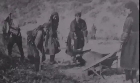 Η προσφορά των γυναικών της Πίνδου